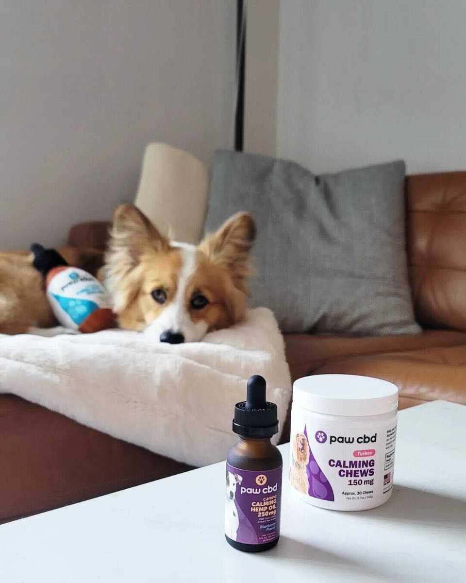 Paw CBD tweet media