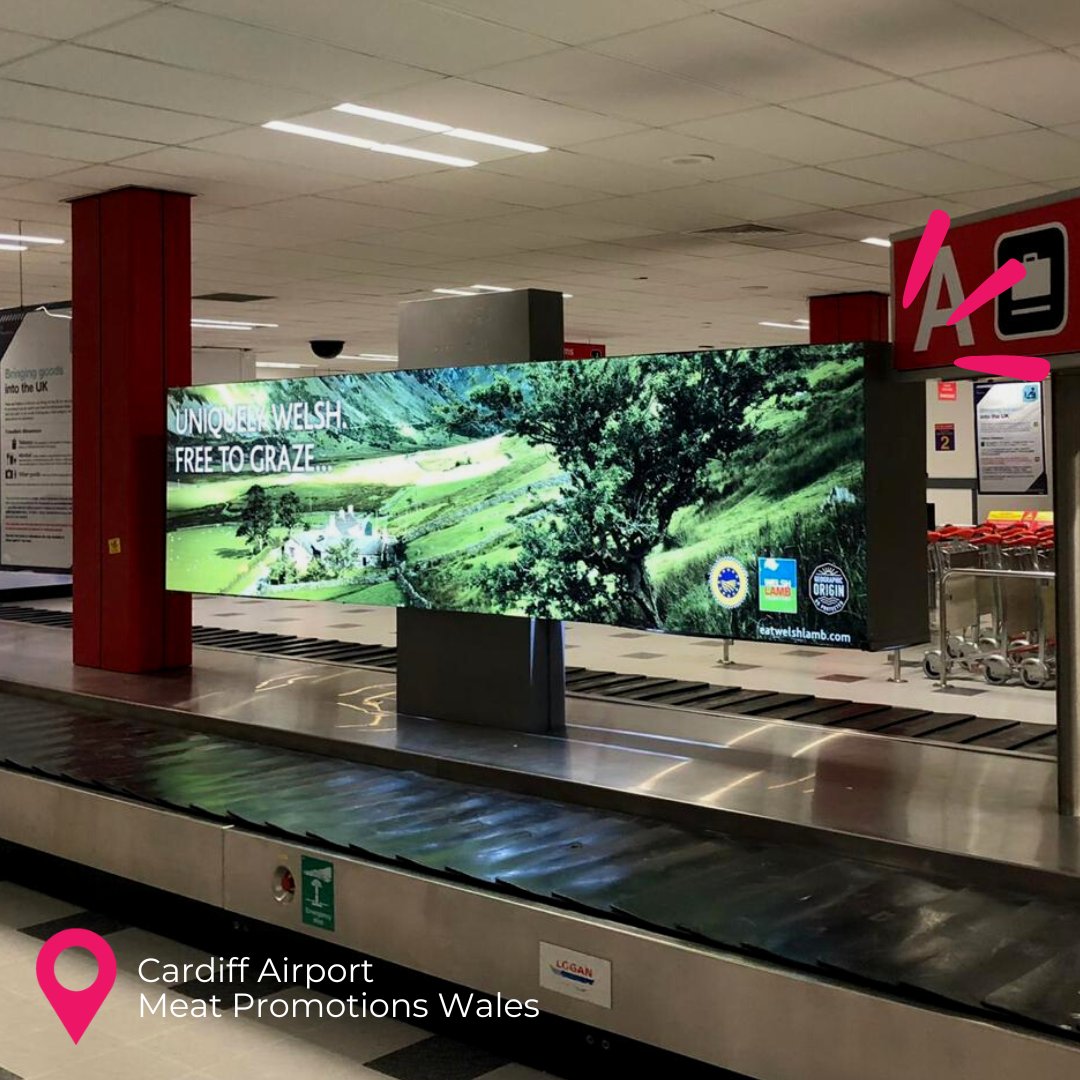 RouteMediaUK's tweet photo. New install alert! 🚨 Loving this campaign for Hybu Cig Cymru (Meat Promotions Wales) on our static and digital inventory at Cardiff Airport - looking great! 

✉️ Want to know more about our inventory at the airport? Send us a DM! 

#RightRoute @Cardiff_Airport @HybuCigCymru https://t.co/0gTvs0VneP