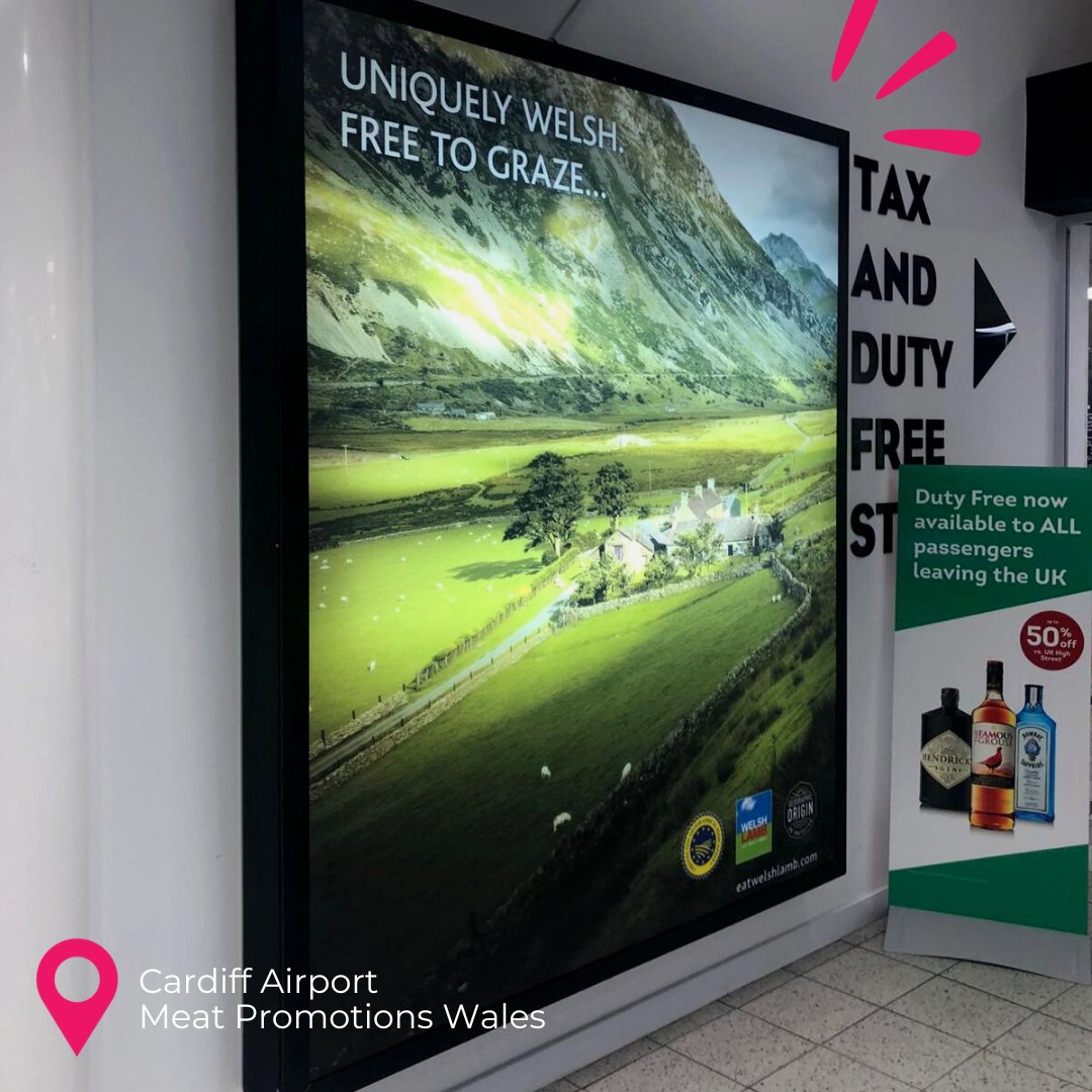 RouteMediaUK's tweet photo. New install alert! 🚨 Loving this campaign for Hybu Cig Cymru (Meat Promotions Wales) on our static and digital inventory at Cardiff Airport - looking great! 

✉️ Want to know more about our inventory at the airport? Send us a DM! 

#RightRoute @Cardiff_Airport @HybuCigCymru https://t.co/0gTvs0VneP