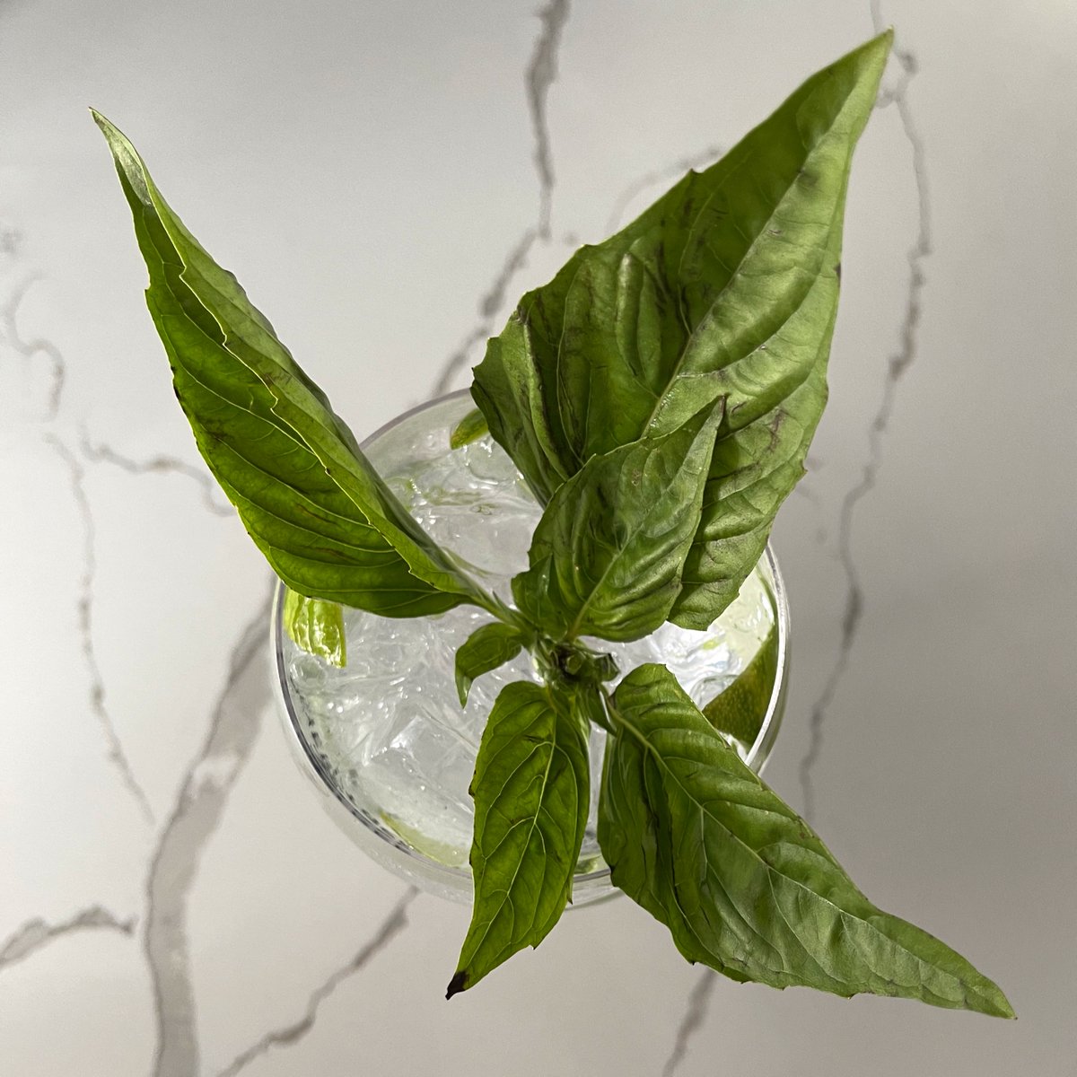 Smile...😆 there is gin!! We would love to introduce you to some amazing gin cocktails!! Here are some examples 🍸🍹🥃:
Martini
Gimlet
Negroni
French 75
Singapore Sling
Tom Collins
Gin Fizz
Bramble
G&amp;T
and many more!
Drink responsibly!
#gincocktail #cocktail #gin #1771gnt #dta