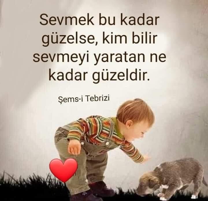 ...❤️❤️