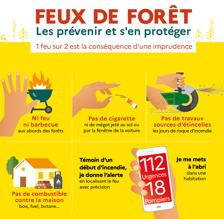 🔴 #FeuxDeForêt En cette période de canicule, la végétation est très sensible au feu : un simple mégot ou un barbecue mal éteint peuvent être à l’origine d'une catastrophe. Ensemble, restons vigilants pour protéger nos espaces naturels ! 👉+ d'infos : bit.ly/3Pu5wrX