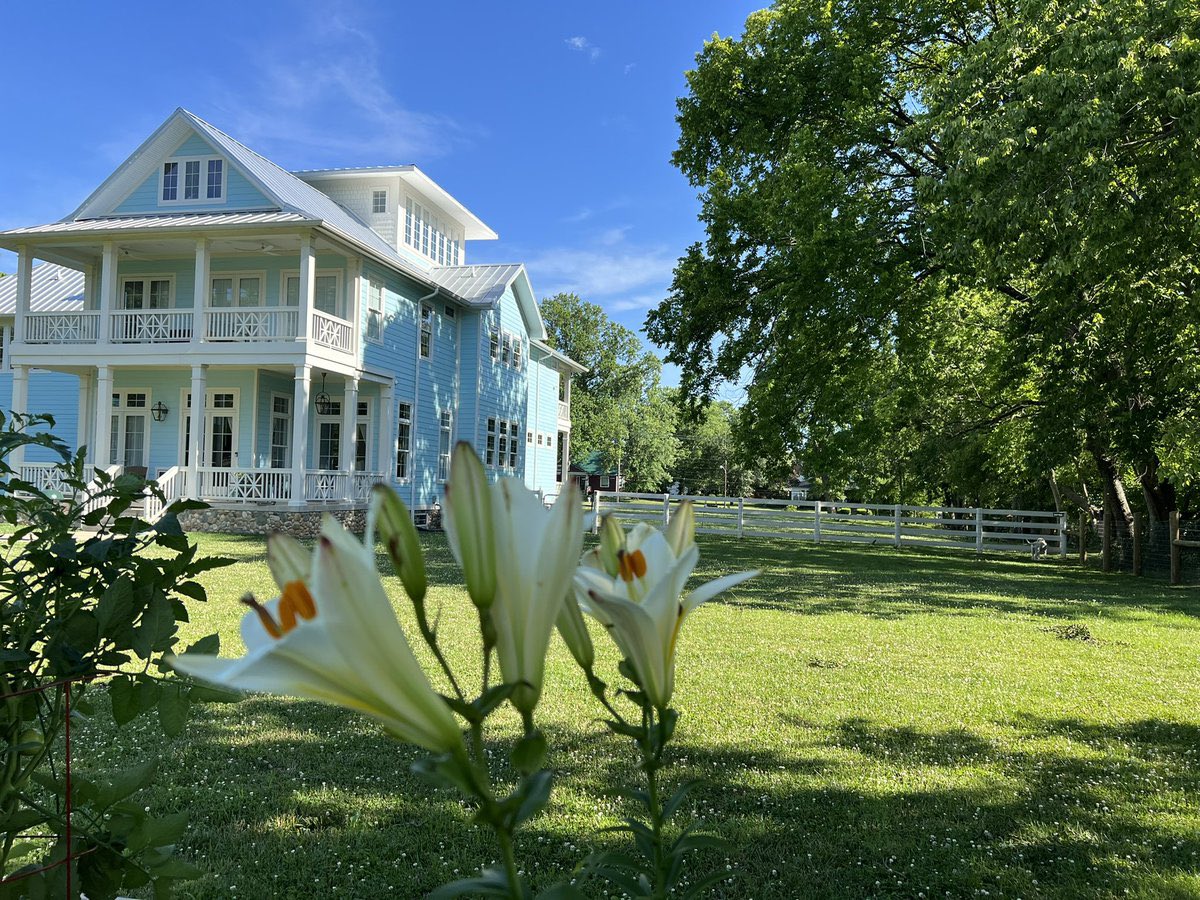 StudioBleubird's tweet photo. Bleubird’s #garden Rooms to stay. #bedandbreakfast @StudioBleubird #airbnb #vrbo #premierhost #superhost https://t.co/roIrqBHxWM