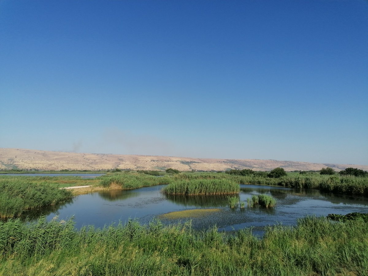 DrGreenRoof's tweet photo. Day 2 of my @NuffieldFarming trip to Israel. I've been to the very North of the country and now travel down to the southern desert tomorrow via Jerusalem tonight. Lots of treated wastewater seen already, such a no brainer for the UK to adopt more widely #Nuffield22 #shalom https://t.co/ATJ8K8F0t9