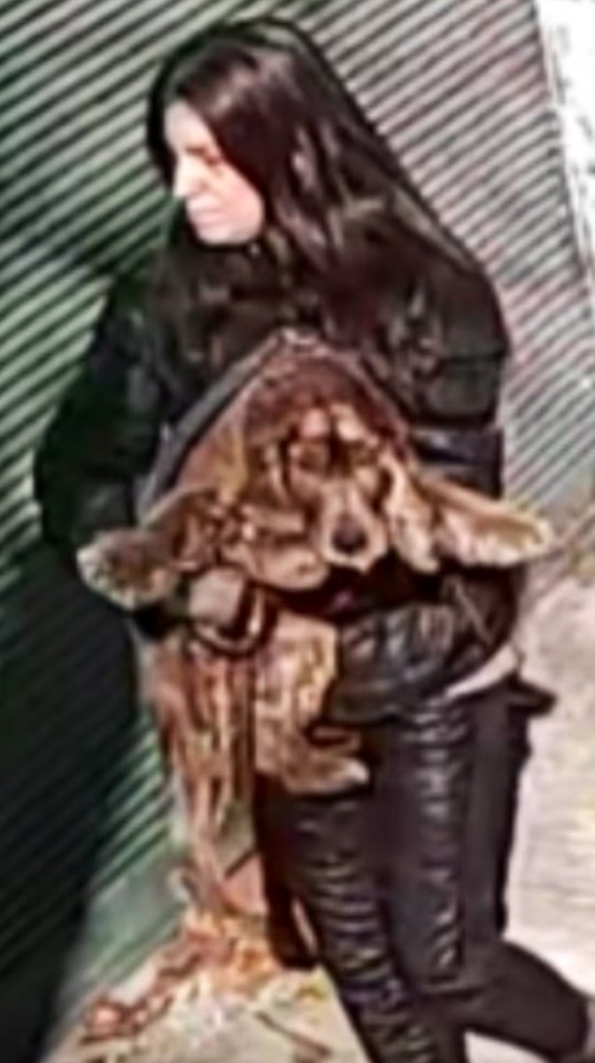 NO ABANDONEN A SUS PERROS JAMÁS, menos cuando son ancianos y están enfermos.
NECESITAMOS EXIGIR PENAS MAYORES PARA QUIENES COMETEN MALTRATO ANIMAL. Son seres que SIENTEN, a diferencia de personas como esta hija de un millón de hectáreas de mierda.
RT♾para encontrarla y que pague