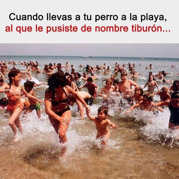 MarioVz33533336's tweet photo. @DeTripconMiguel
#LoBonitodeViajar
#DeBuenasconMiguel
@YODEBUENAS @La99fm
@YoAmoLa99 @FansDeLa991 @ClubChavorrucos https://t.co/H01IqJDqYY