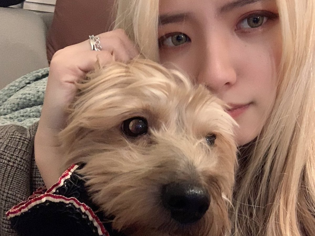 MuttSince's tweet image. When I think I'm unlucky, I think: This is swaying my bad luck, and after that, the rest is all luck!