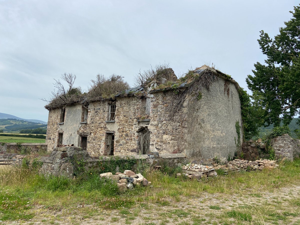 SPAB Ireland tweet media