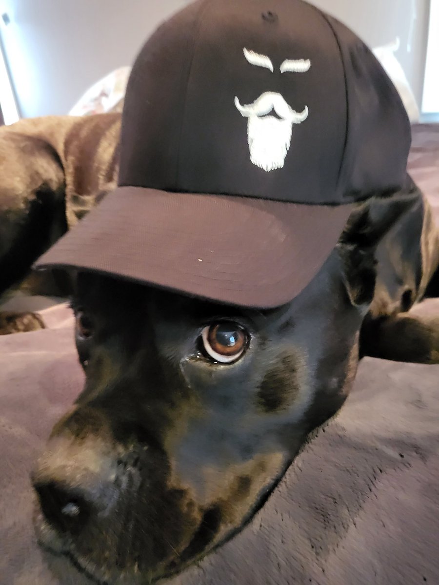 FlyRaven52's tweet image. Good morning