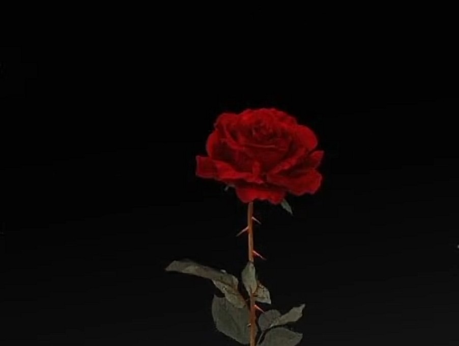 झरी जाने पुष्पलाई के था, हाङगा को पिडा✍️