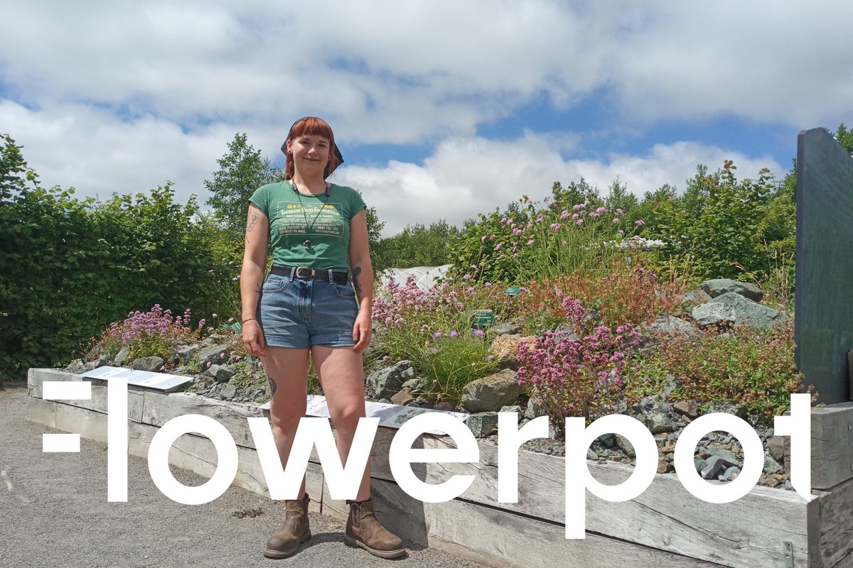 In my latest Flowerpot #podcast, I talk to @walesbotanic horticulturist @floramental 
It's Carly's job to grow 'native' Welsh #wildflowers & a comment made by @claireratinon at a recent Garden event has made us question the use of the term 'native'. 
anchor.fm/bruce-langridg…