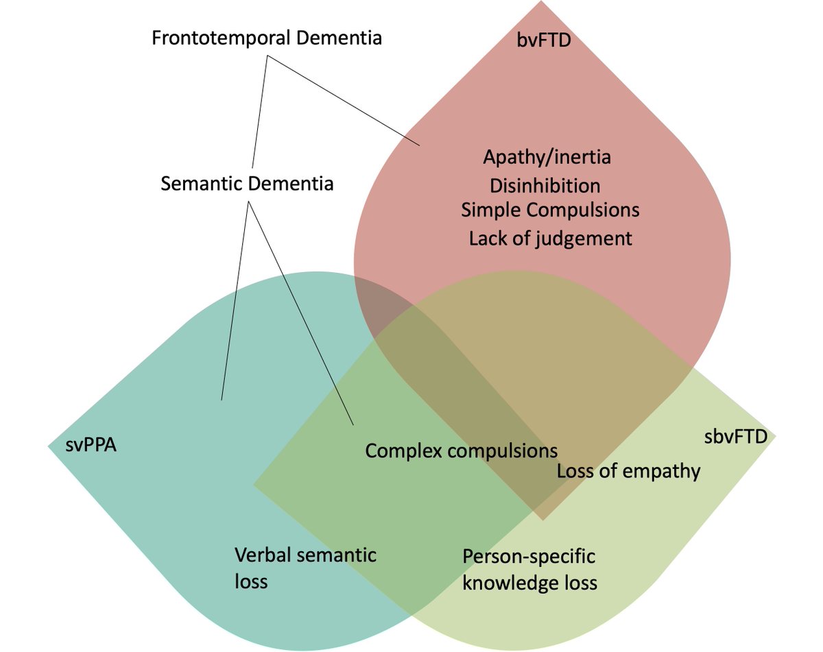 Younes et al. show that right-predominant anterior temporal lobe degeneration is characterized by a progressive decline in semantic knowledge for socioemotionally relevant concepts, and propose that it should be named ‘semantic behavioural variant FTD’. bit.ly/3bvnmMy