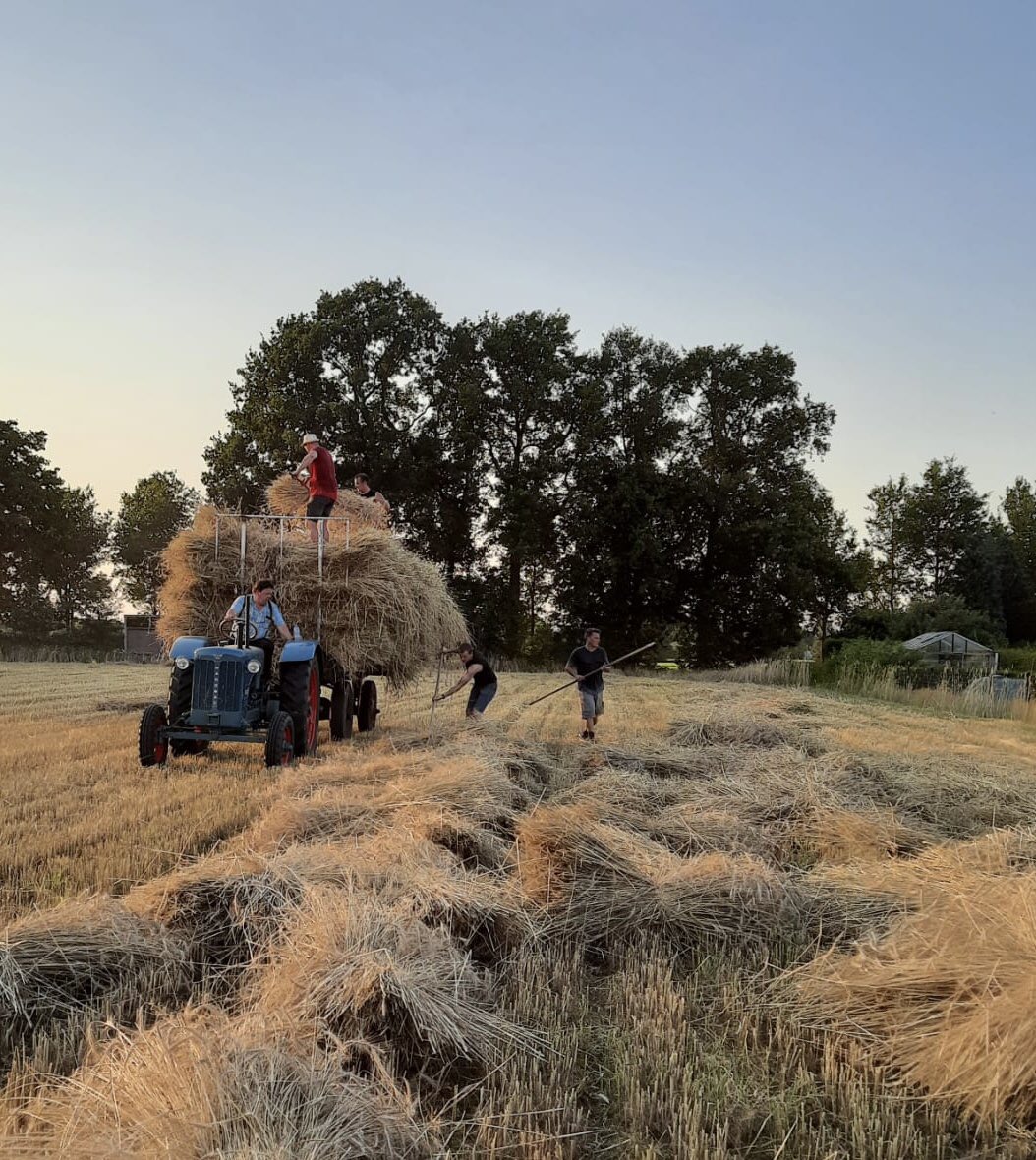 Mooi weer vandaag, maar gelukkig hebben we gisteren met man en macht de klus al geklaard.