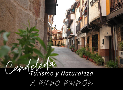 valledeltietar's tweet photo. Web de Candeleda, con la colaboración del Ayuntamiento de Candeleda, Concejalía de Salud, Deporte y Turismo.
https://t.co/WNton0dM6s
Turismo y naturaleza.
#candeleda #valledeltietar #gredos #avila #turismo #naturaleza #elraso #guiatietar https://t.co/QpasWKmX2O
