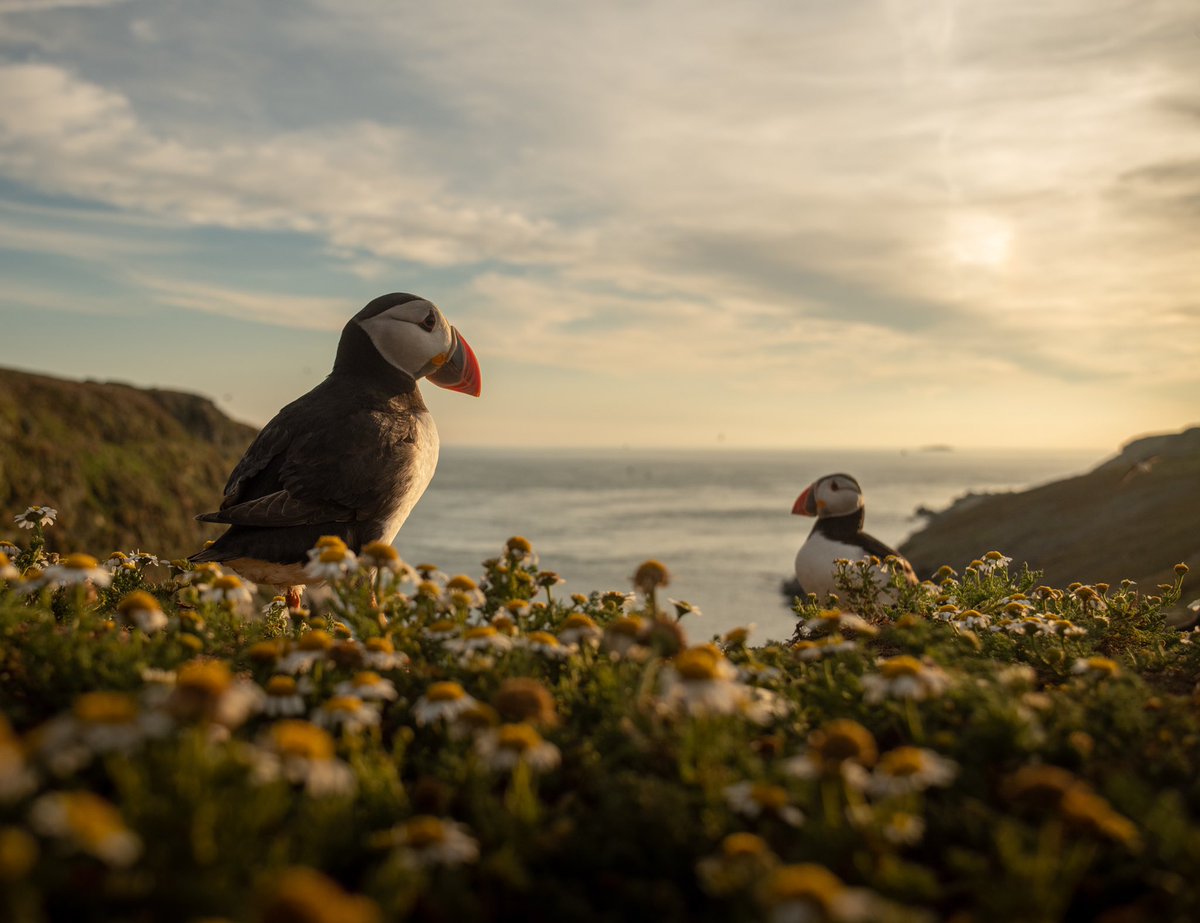 The wide perspective at the Wick-one of my main goals for the trip was to show the habitat of the Puffins in my images