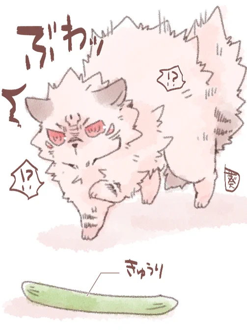 やんのかステップを披露するネッコ 