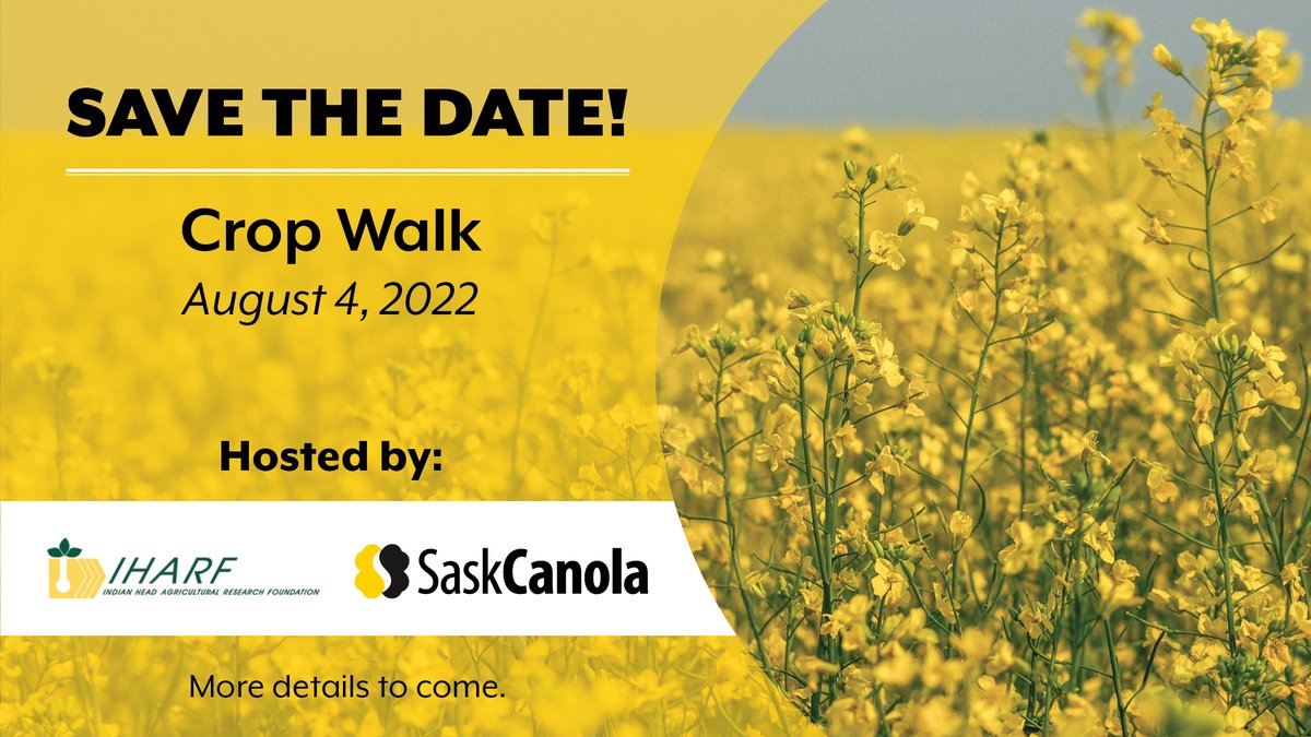 SaskOilseeds tweet media