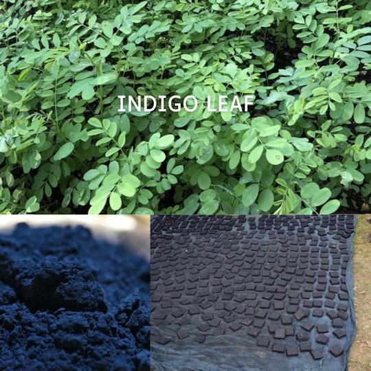 MoolDhaga's tweet photo. Indigo - The Blue Goddess of India
Have you ever wondered why many Hindu Gods like #Kaali and #Krishna are often portrayed in the colour #blue?
Did you know that the colour ‘#Indigo’ is revered as a ‘#BlueGoddess’ in Tamil Nadu?
Read 🧵👇🏽 https://t.co/iwGeVWlQGl