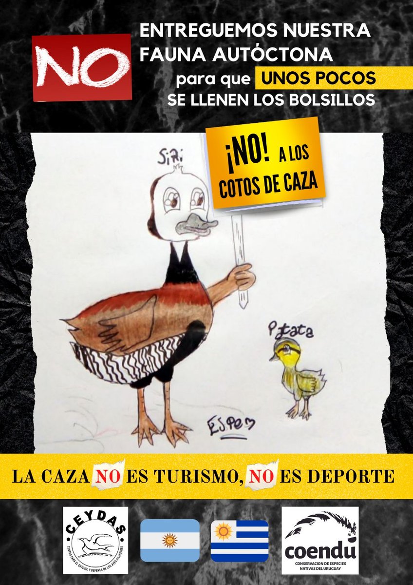CoenduOng's tweet photo. Campaña conjunta con CEYDAS (Argentina).  La caza no es turismo, la caza no es deporte.  En defensa de nuestra fauna autóctona. https://t.co/NCxZONuuj0