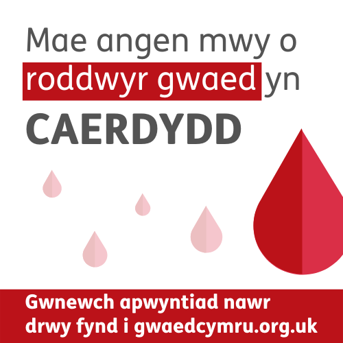 powerhouse_hub's tweet photo. 💪🏻 Can you help?

🩸 @WelshBlood need more people from the Cardiff area to sign up as donors to help patients across Wales!

✨ Do something amazing today!

📅 Book to give blood 👉🏻 https://t.co/5tP0ncYYjI https://t.co/zvNNP5mQQ1