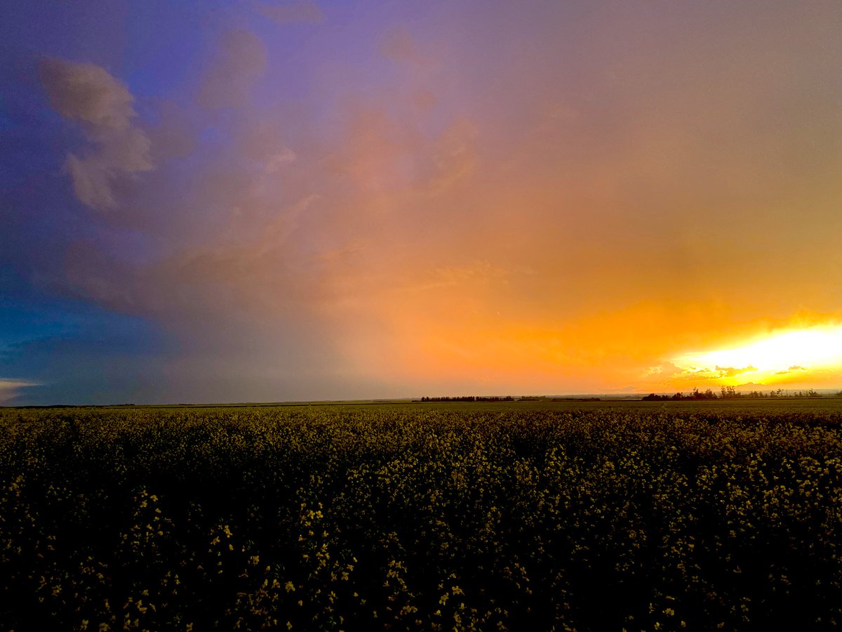 Can’t get enough of these Saskatchewan skies ✨#SKAg