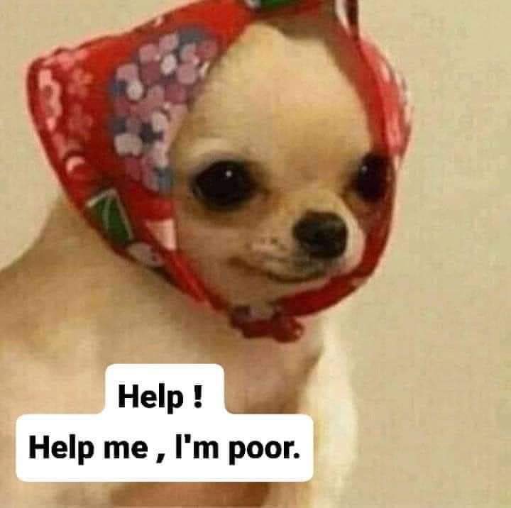 egymeme11's tweet image. بابا معدي من قدامي عادي
انا: