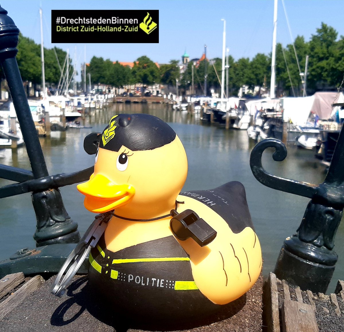 Vandaag ☀️ enkele tips van Herman"nat"; - Keep it COOL 💦en zoek de schaduw, het water of de airco op.. 
- drink voldoende water 💦
- zorg goed voor jezelf EN de ander!
FIJNE dag!