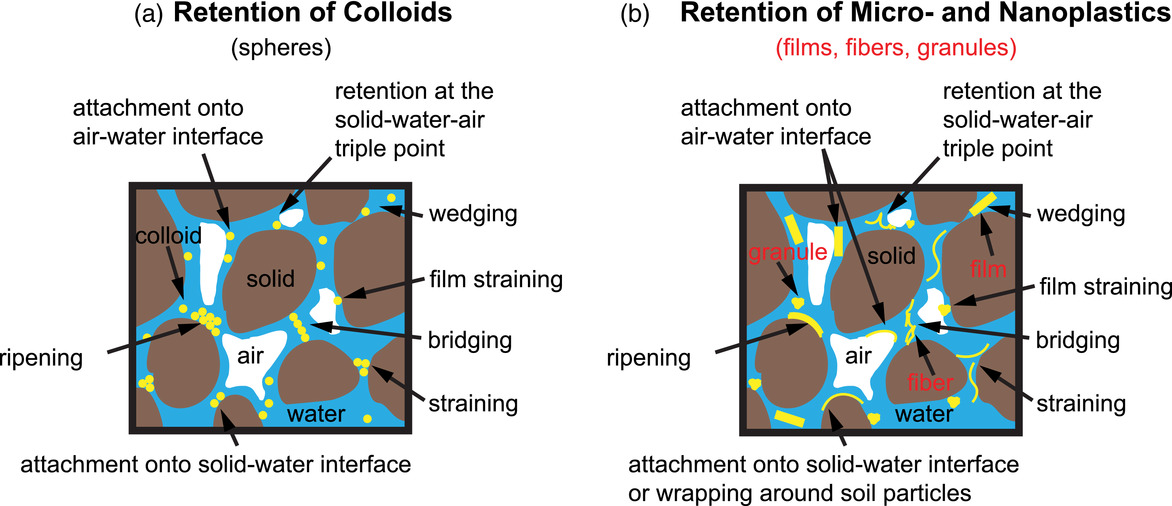vadosezonej's tweet image. #ArticleHighlight #VZJcollection

🚨Check out the most #cited paper in 2021: doi.org/10.1002/vzj2.2…

&quot;Current understanding of subsurface transport of micro‐ and nanoplastics in soil&quot; by Yu &amp;amp; Flury. 

@wileyearthspace @WSUPullman @WSUPuyallupREC #plasticpollution #soilhealth