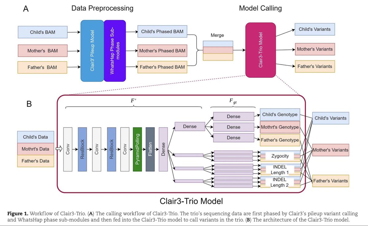 Clair3-trio: high-performance Nanopore long-read variant calling in family trios with trio-to-trio deep neural networks academic.oup.com/bib/advance-ar…