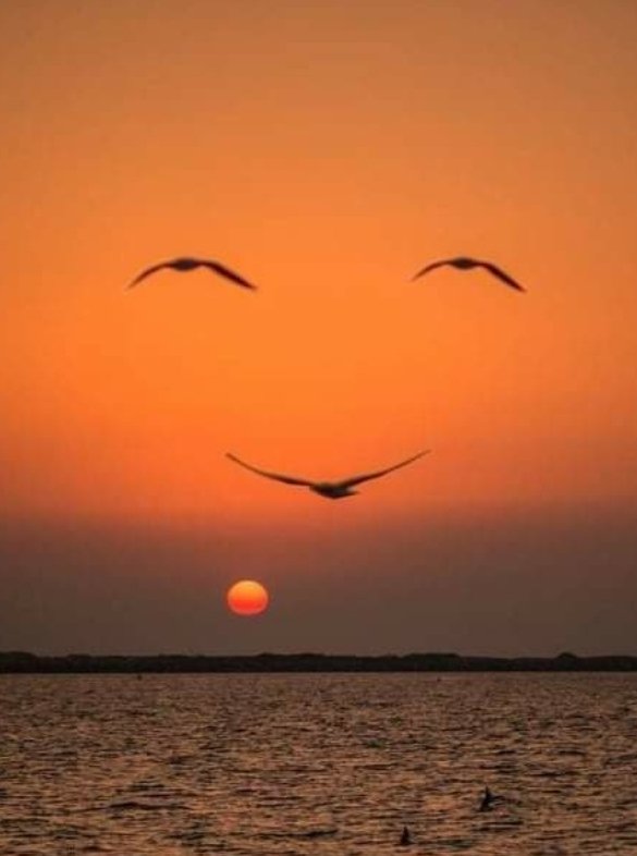 kikin455's tweet image. 