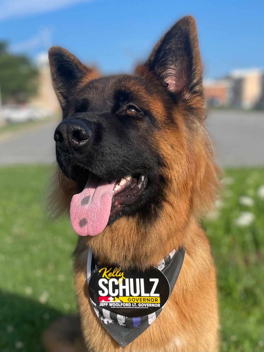 One of our four legged friends, Creek wants to remind you to get out to the polls and vote for <a href="/JeffWoolford/">Jeff Woolford</a> and I! Polls are open until 8 PM.