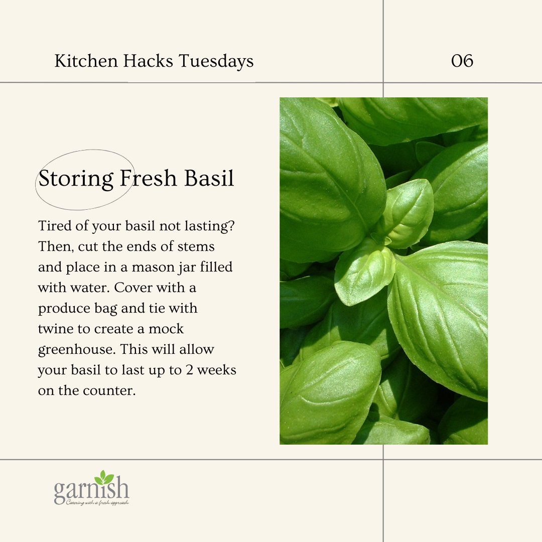 You can now make your basil last longer with this simple trick!

#garnishcatering #foodcatering #catering #smallbusinesses #foodie #basil #kitchenhacks #cookingmadesimple #storingfood #pasta #pesto #greens #veggies #healthyliving #herbs #spices #plants #westerncuisine #garden