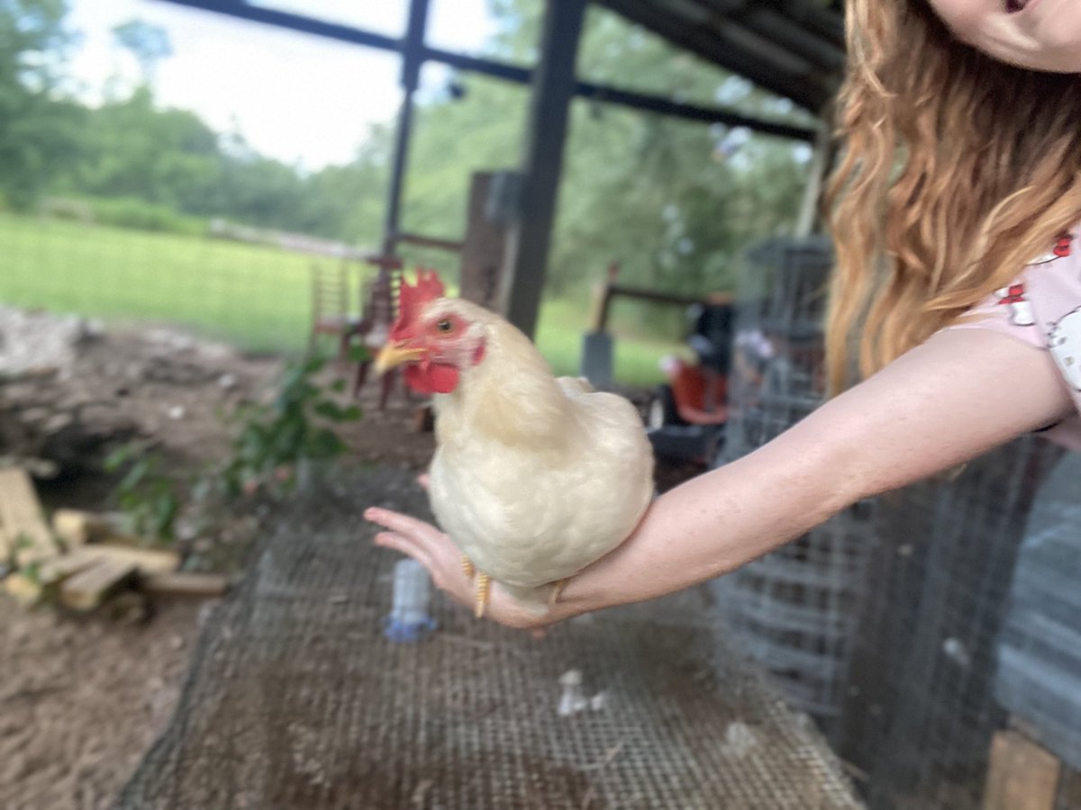 Just chillin on mombs arm how boust you ?