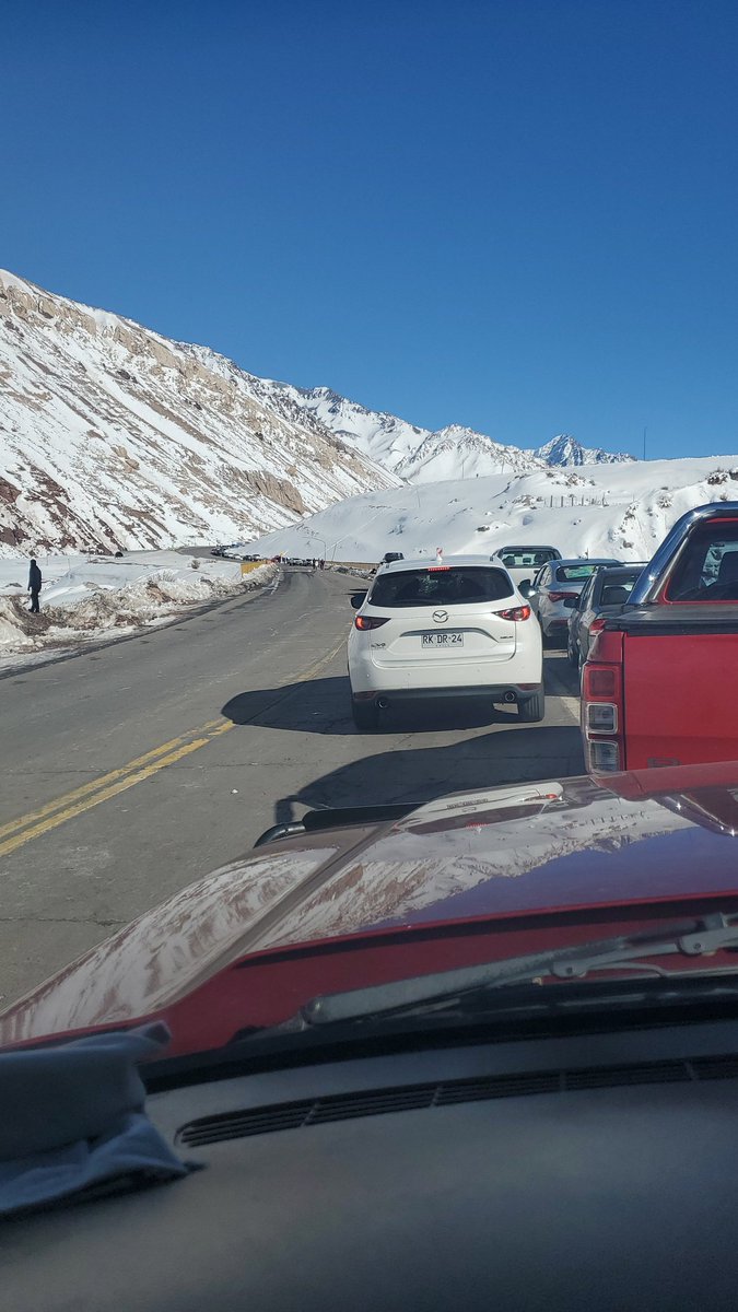 K Catchpole - E Mohl tweet media