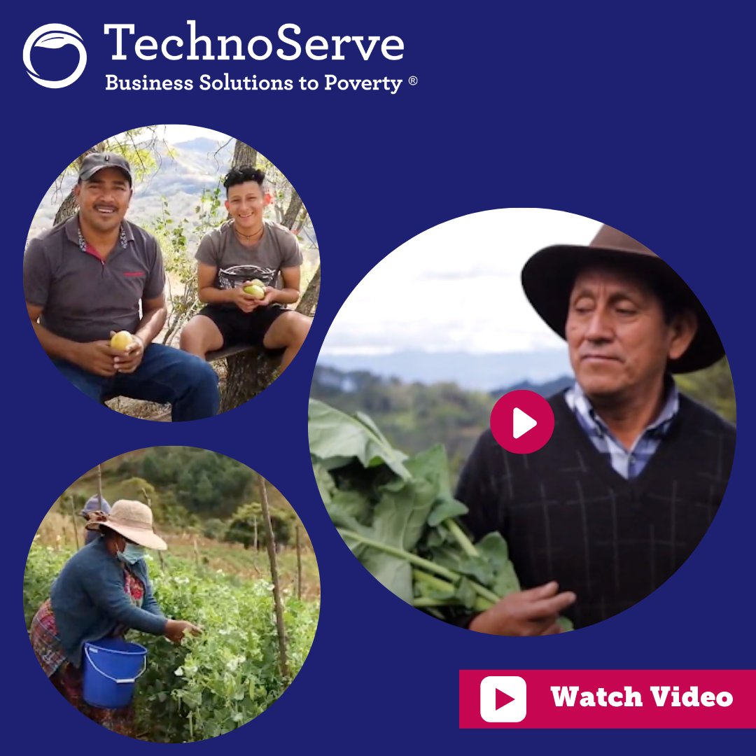 A TechnoServe program funded by <a href="/WalmartOrg/">Walmart.org</a> helped thousands of farmers adopt #climatesmart #regenerative practices, improve their incomes, and reach new markets. Learn how in our new digital case study: hubs.li/Q01h2CQs0