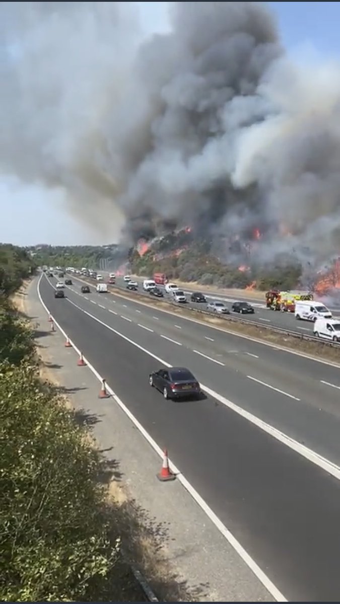 Andy Bolton 🇺🇦🦋 tweet media