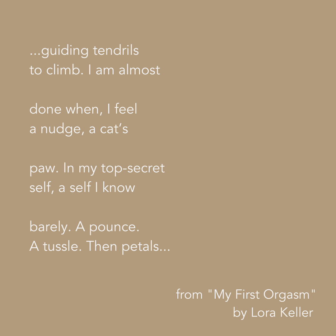 ArtLitLab's tweet photo. New on ALL Review! Check out the poem that won Honorable Mention for Council for Wisconsin Writer's Niedecker Poetry Award, "My First Orgasm," by Lora Keller.
#ArtLitLab #poetry #poet #Wisconsinwriter
#award #honorablemention #poem https://t.co/WDhad4cKqu