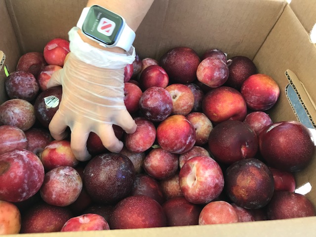 OfficialEVC's tweet photo. Amazing turnout for our FIRST in-person #fooddistribution since pre-pandemic last Friday! In partnership with @2ndharvest EVC provided chicken, eggs, milk, fruit, and vegetables to over 300 students and the community.🥕🥛🍅 #EVCImpact https://t.co/H78BXksH66