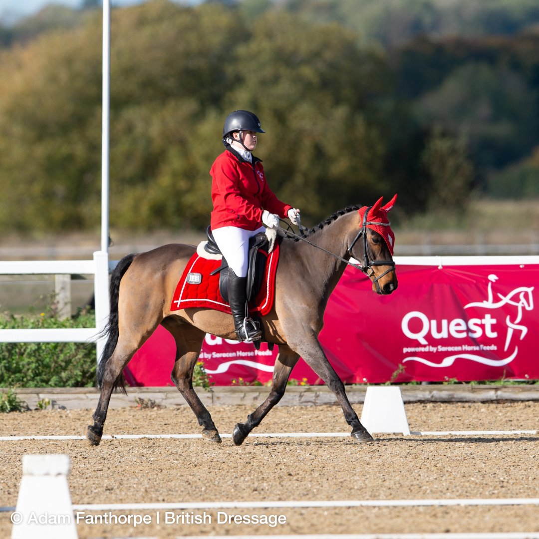 Quest Club BD tweet media