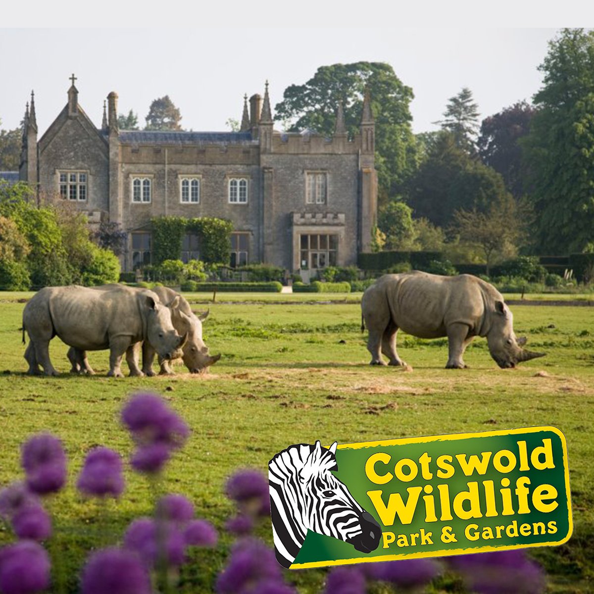 BarnesCoaches's tweet photo. #TopPicksTuesday line up! 🚍️
View trips > https://t.co/dorpthdAa9
📍Cotswold Wildlife Park
📍Buckingham Palace
📍West Somerset Steam Railway
📍London Eye & Thames Cruise
📍Malvern Autumn Show https://t.co/G0D6jx4n9I