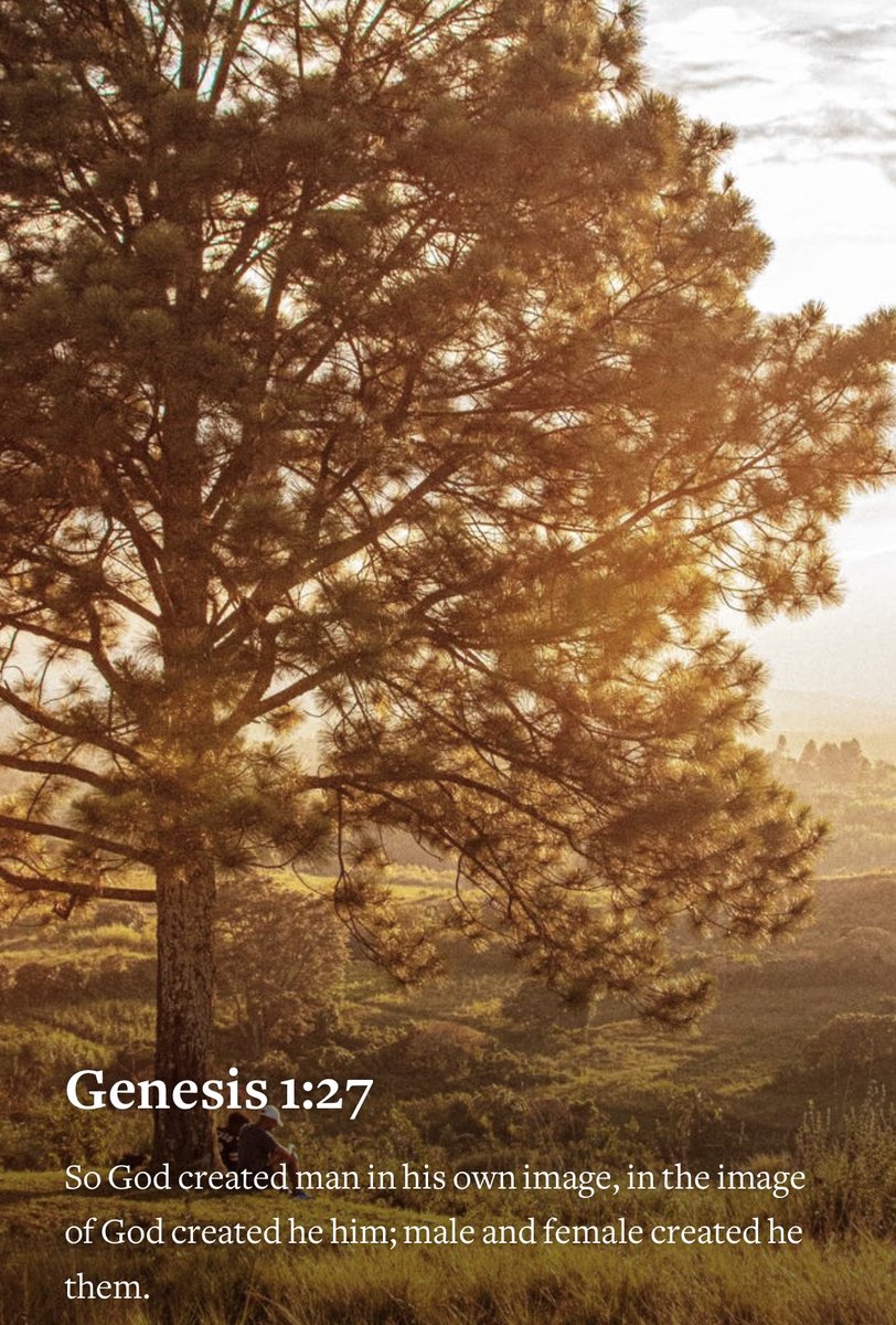 God created you in His image to reflect his goodness to the world around you. Be sure today you resemble him in such a way that those around you see his character more clearly and acknowledge that you are a spitting image of him. HAVE A TERRIFIC TUESDAY!
