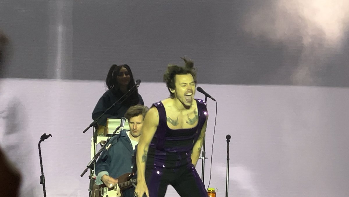 deleena25's tweet photo. category is: harry styles’ hair https://t.co/z0xBZQHdne