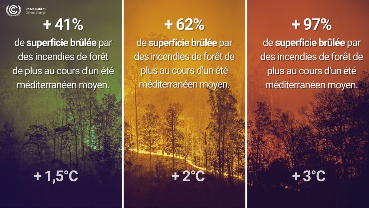 La différence entre les conséquences d'un réchauffement climatique de 1,5°C et de 3°C sur notre avenir est énorme. #Agissons pour limiter la hausse des températures & préserver un climat vivable. Pas dans 10 ans. Pas dans un an. MAINTENANT. bit.ly/3LNnvHW via @CCNUCC