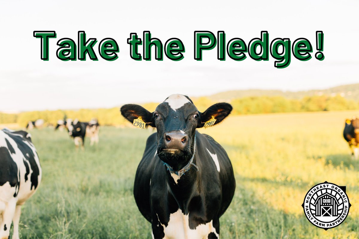 TAKE THE PLEDGE to support local organic dairy farmers in the northeast through buying 1/4th of your weekly dairy items from one of our brand partners! saveorganicfamilyfarms.org/#pledge