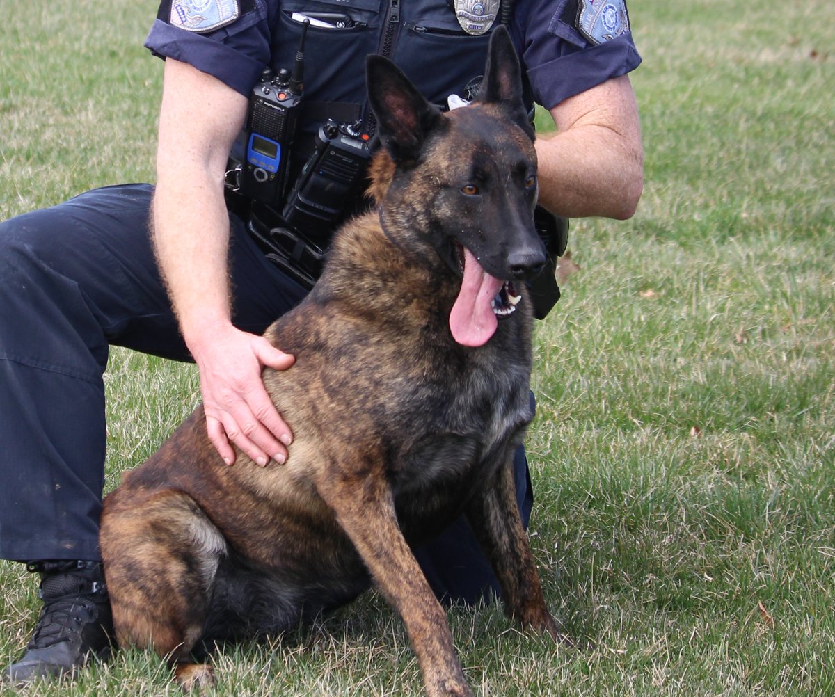 BlueAshPD's tweet photo. #RubysTuesday Ruby heard the weather forecast for this week. Be sure you give your dogs plenty of water and a place to get out of the sun and heat.
#girlpower #policek9 #shallowcreekkennels https://t.co/I4JashH8GT