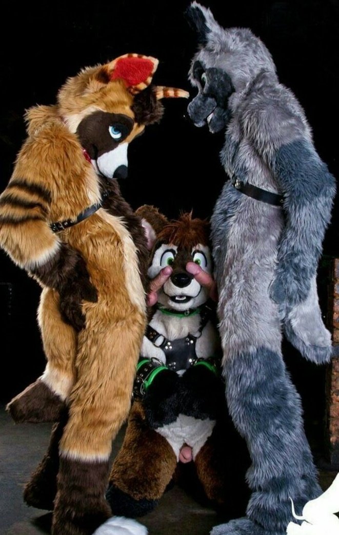Big_Bad_Wuffer's tweet photo. Classic foxy service 😈
🍆 @SkywereAD 
☔ @FelixAfterDark 

To think this was the bunch of photos that got Corey 1 banned from London furmeets XD can't see them doing that today lol https://t.co/IeBA2JuR5b