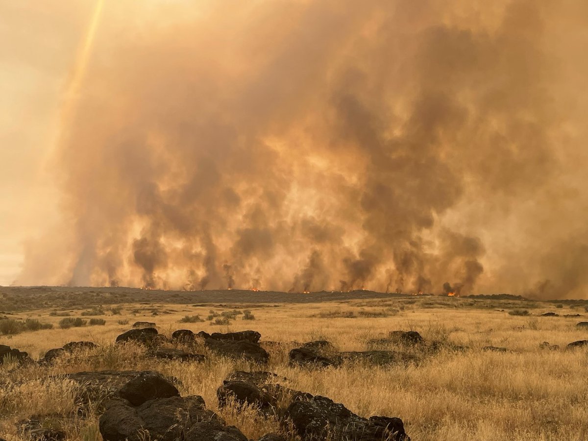 BLMIdahoFire's tweet photo. #BLMTFDFire #BrayFireUpdate 7/19/22 at 9:40 a.m.
Crews worked through the night to secure the northern flank with dozer line & back burn. Ground & air resources will work together to secure last nightโs efforts & created containment lines. Full update-->https://t.co/q6mhHfVliY https://t.co/tI4C3ZBiXh
