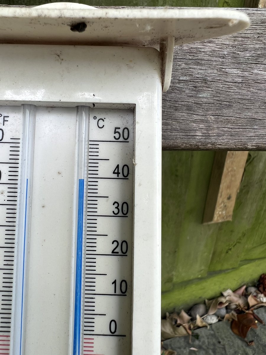 hellosocialLdn's tweet image. 3rd photo is after hosing the patio! 
#londonheatwave #40degrees #heatwavehack