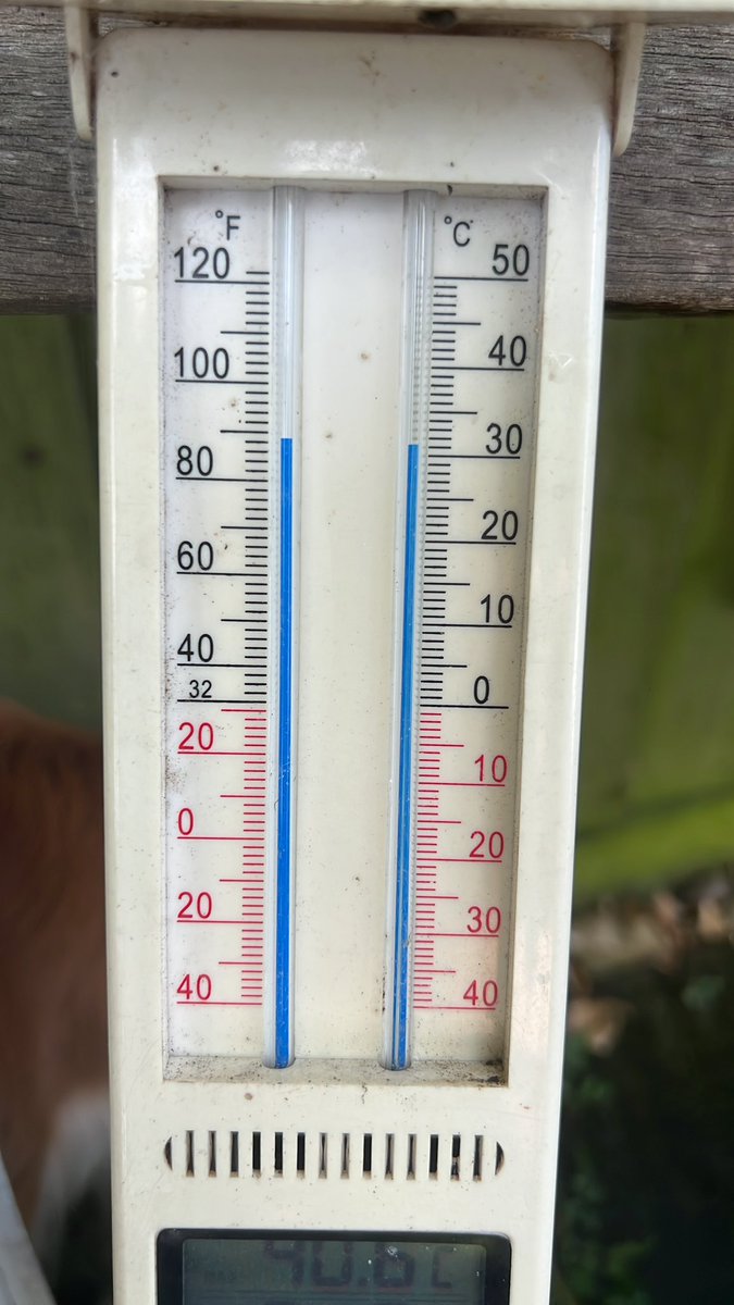 hellosocialLdn's tweet image. 3rd photo is after hosing the patio! 
#londonheatwave #40degrees #heatwavehack