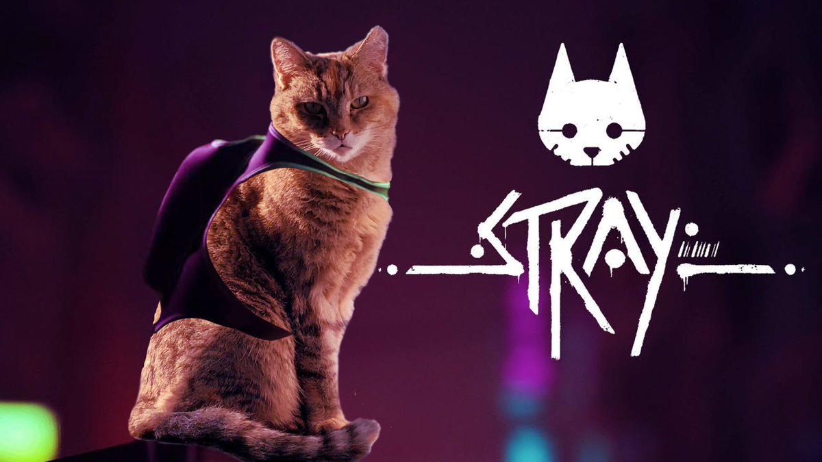 helly_panda's tweet image. I may be biased but I think Izzie looks even more fetching in the backpack. Come and join me now for my first playthrough of Stray! twitch.tv/hellypanda 
#stray #StrayGame #twitchstreaming #twitch #twitchaffiliate